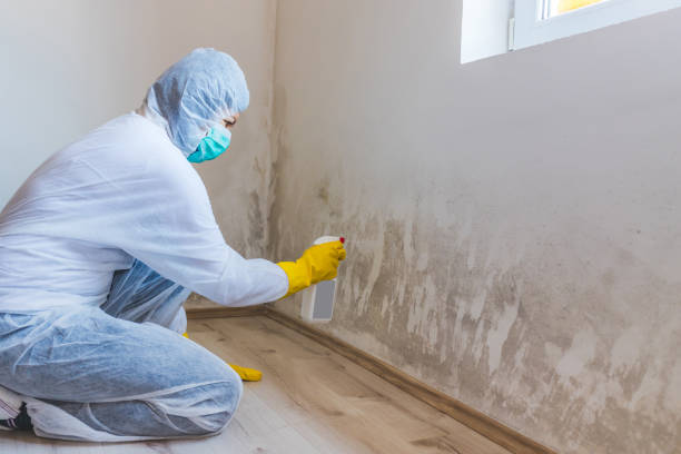 Bathroom Mold Removal assessment in Miami bathroom